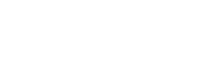 FIZZweb